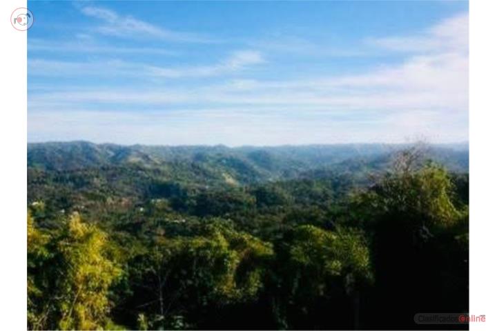 Venta: Las Marías, Bo. Furnias