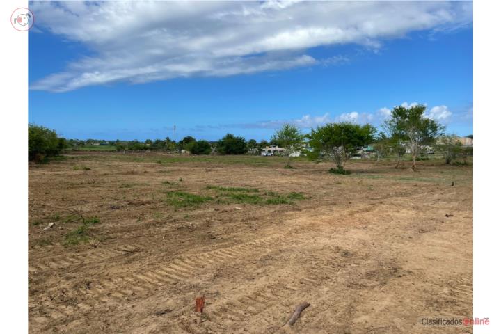 Farm in Jobos, Isabela
