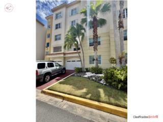 Royal Palm