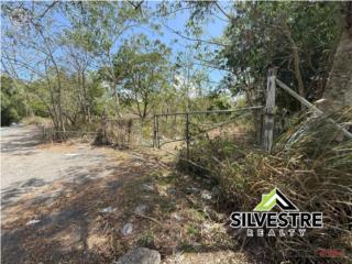 A one-of-a-kind 14.96-cuerda land (Ac...
