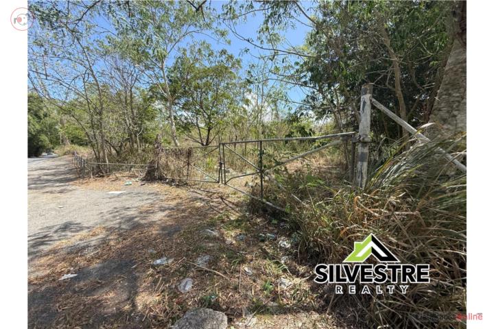 A one-of-a-kind 14.96-cuerda land (Acres)