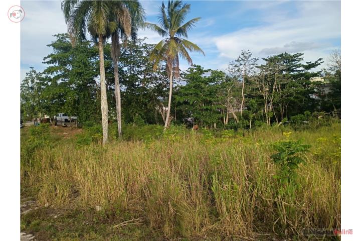 Lot in Barahona, Morovis