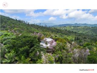 GUAVATE CABIN | At The Top of the Wor...