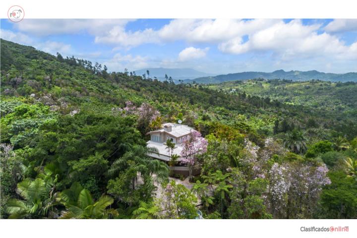 House in Guavate, Cayey