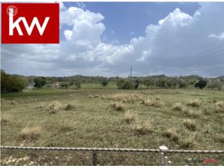 BO. NARANJITO, TERRENO EN HATILLO