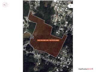 FINCA BO CAIMITAL ALTO AGUADILLA
