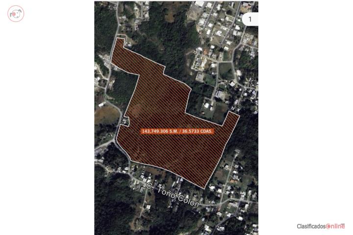 FINCA BO CAIMITAL ALTO AGUADILLA