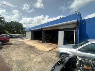 Local comercial en Bo. Palmarejo, Cor...