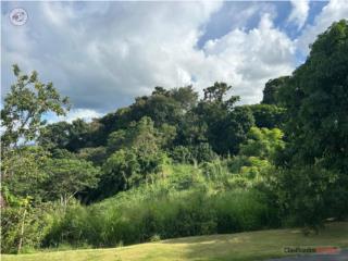 VENTA TERRENO TOA ALTA 1.8 CUERDAS