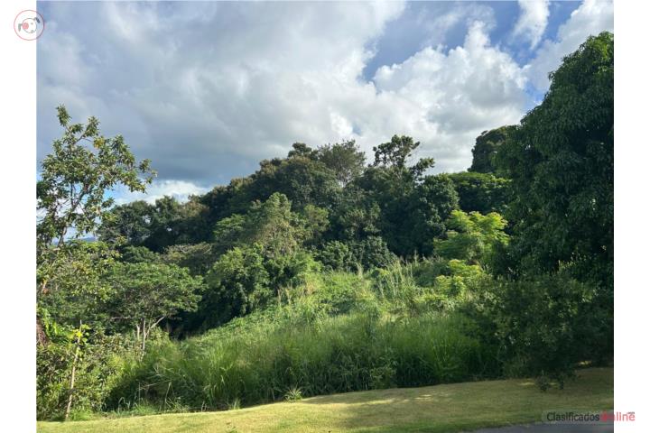 Lot in Quebrada Arenas, Toa Alta