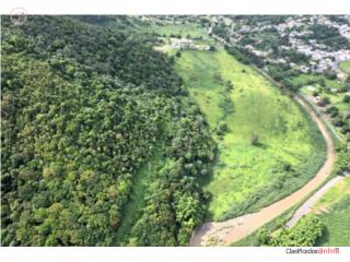 VENTA FINCA TERRENO RIO BLANCO NAGUABO
