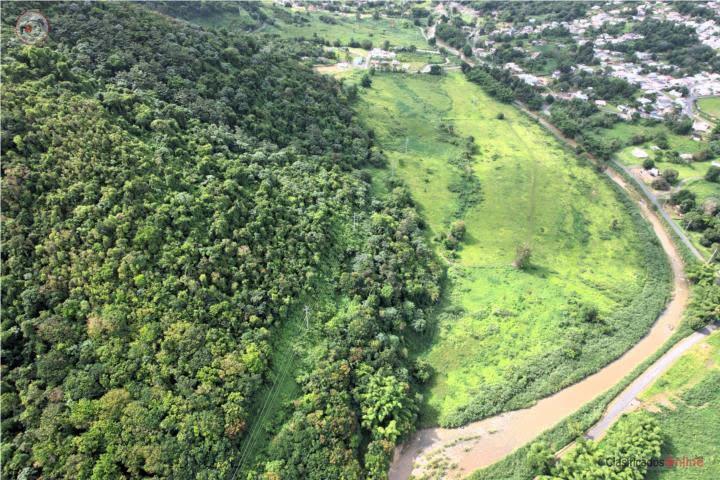 VENTA FINCA TERRENO RIO BLANCO NAGUABO