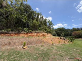 FINCA DE 5.9 CUERDAS NUEVO EN EL MERC...