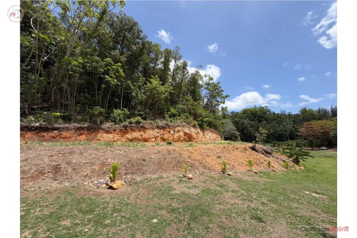 FINCA DE 5.9 CUERDAS NUEVO EN EL MERCADO