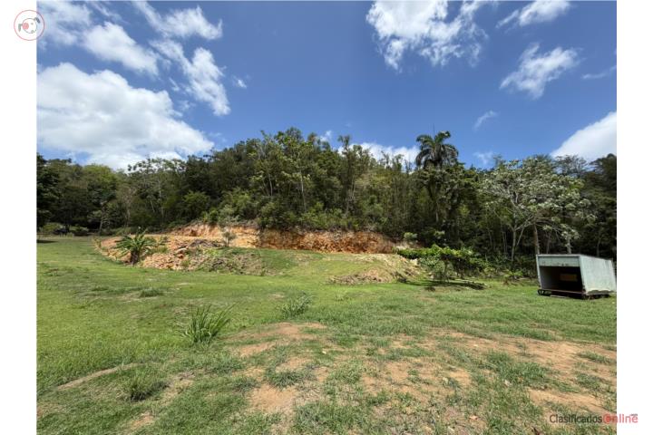 FINCA 5.9 CUERDAS EN VEGA BAJA