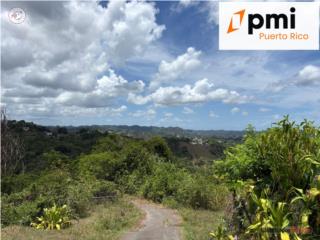 TERRENO EN VENTA – COROZAL, 175k