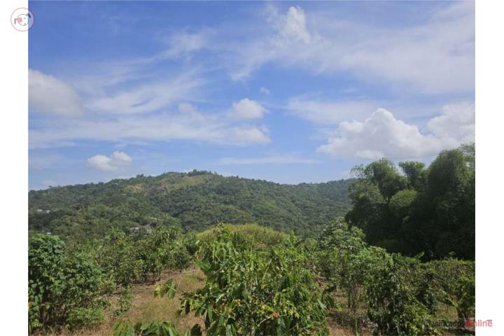 Farm in Pozas, Ciales