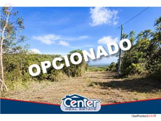 OPCIONADO - SOLAR DE 1,892 M/C - PEPE...