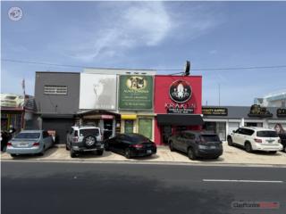 Avenida Ramon Luis Rivera, Riverview