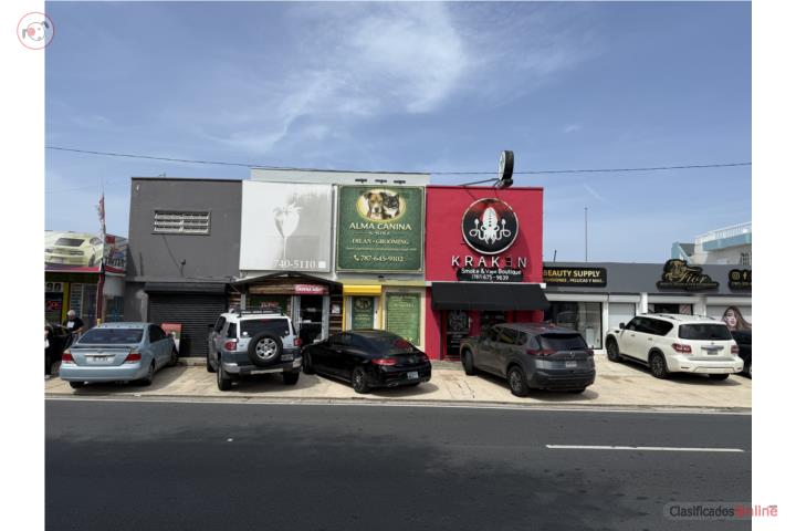 Avenida Ramon Luis Rivera, Riverview