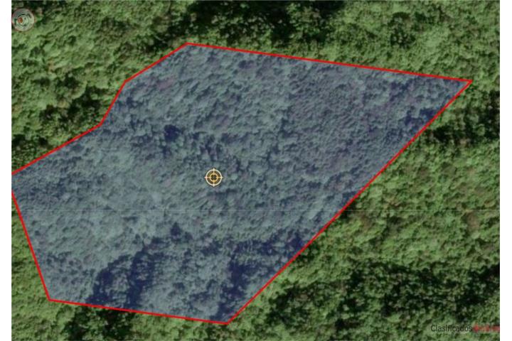 Se Vende Terreno de 37 Cuerdas en Patillas
