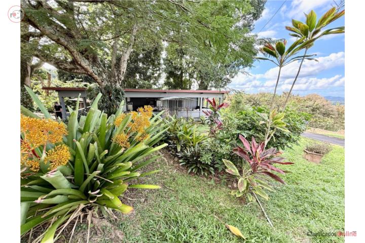 House in Morovis Sur, Morovis