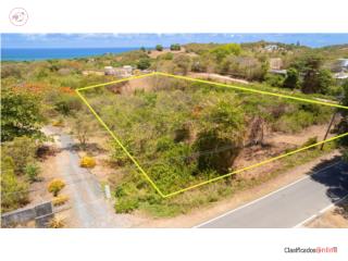 Lote 2 acres Vista al Mar Tamarindo P...
