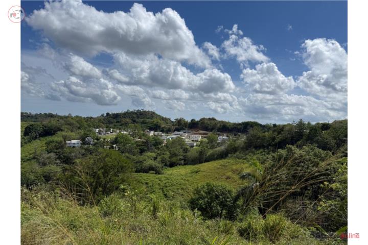 Lot in Ortiz, Toa Alta
