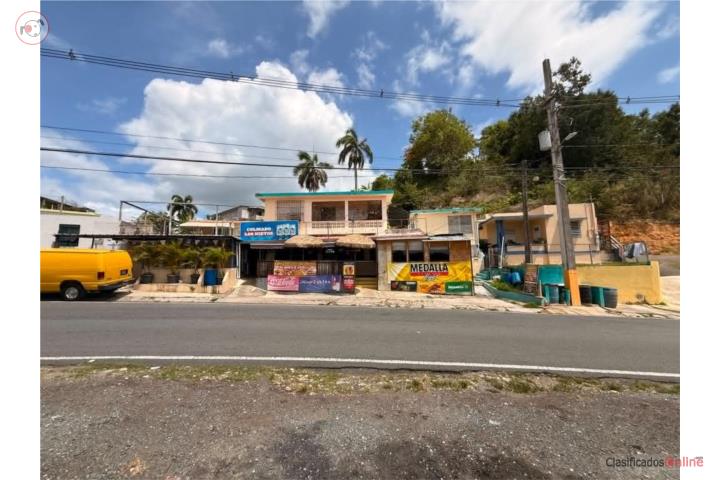 Commercial in Pugnado Adentro, Vega Baja