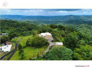CASA 3,000 P/C (APROX) 4C- 2½, CON 14...