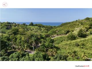 Amazing Location | Quiet & Private | ...