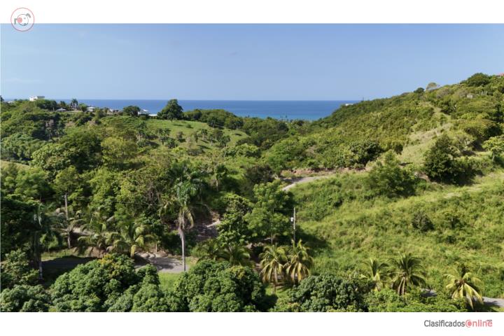 Amazing Location | Quiet & Private | 1,318 m²