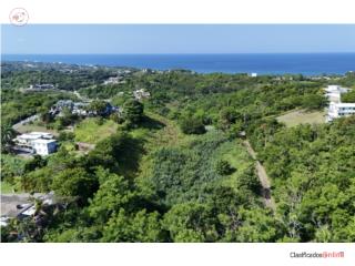 Oceanview | Amazing Location | 4,964....