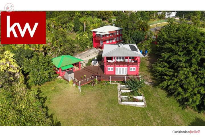 BO. CUBUY, CASA EN CANOVANAS