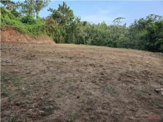 5 CDS SEMILLANAS EN UTUADO – SOLO $85...