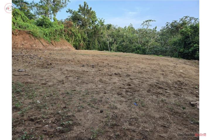 5 CDS SEMILLANAS EN UTUADO  SOLO $85,000