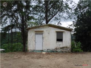 Se vende finca con cabaña en Lares.