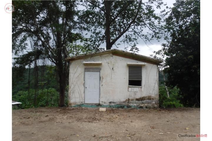 Farm in Espino, Lares
