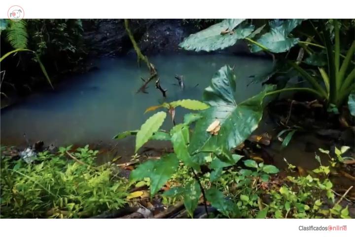 Farm in Pozas, Ciales