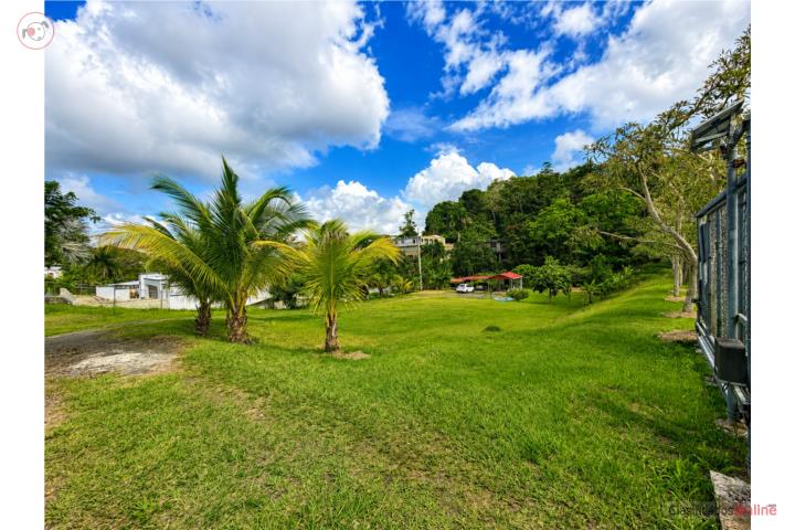 Lot in Lirios, Juncos
