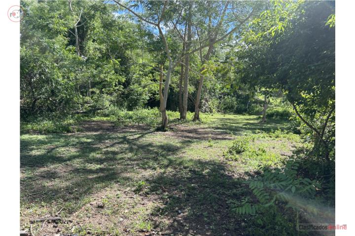 Lot in El Arrendado, Sabana Grande