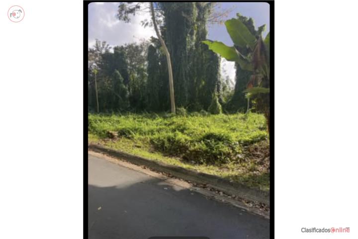 Lot in Mucarabones, Toa Alta