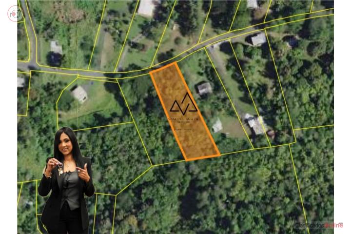 Lot in Quebrada Cruz, Toa Alta