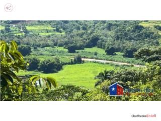 Extraordinaria finca en San Sebastian!
