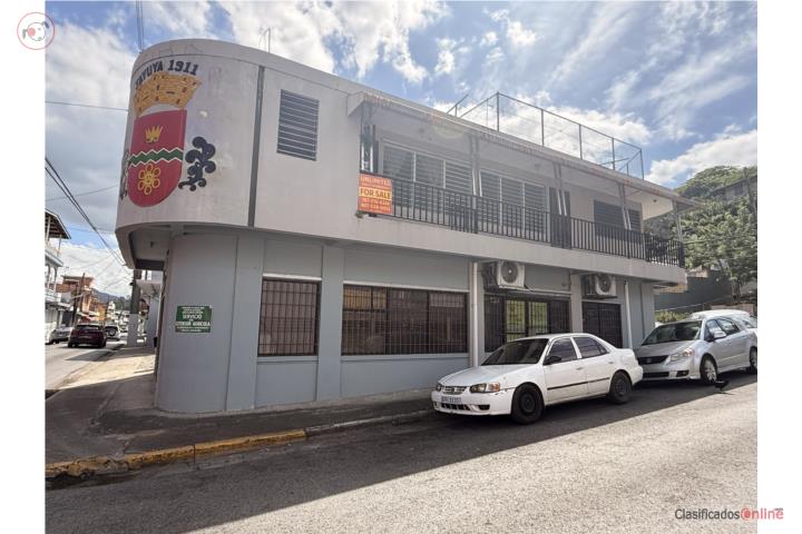 Commercial in Pueblo, Jayuya