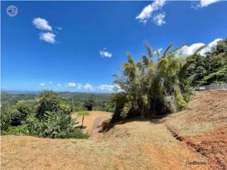 Terreno con vista campestre