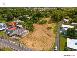 BO CEIBA NORTE | SECT SANTANA, JUNCOS
