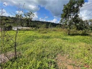 REBAJADA - Finca de 30 cds. con rio y...