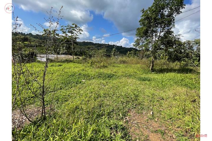Farm in El Jobo, Lares