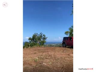 Almost 6 Acres of Mountain Paradise